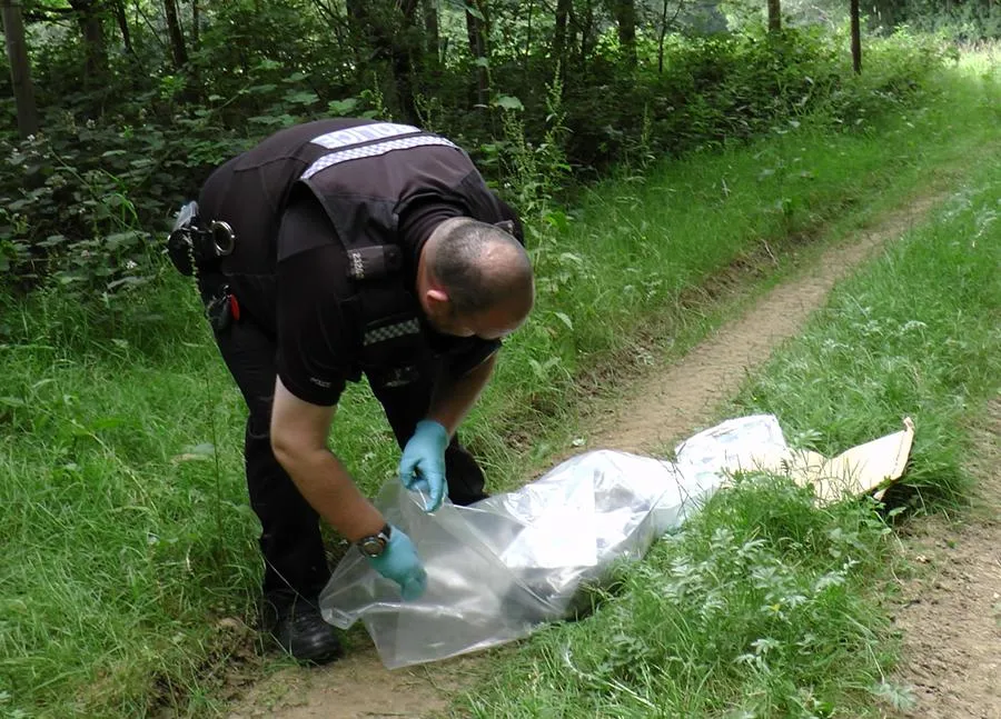 Badger snared and shot at Winslade, Hants