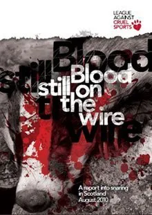 Blood Still on the Wire