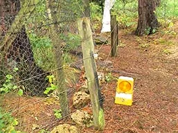 Fox deterrent light