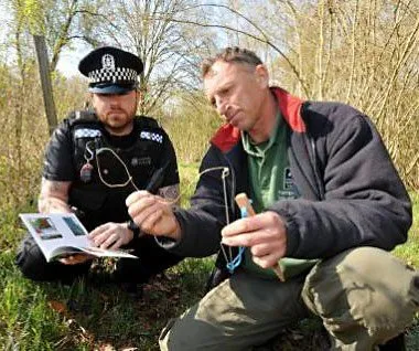 Illegal snares in Hampshire