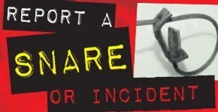 Report a Snare Incident - Ban Snares