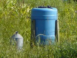 Pheasant Feeders