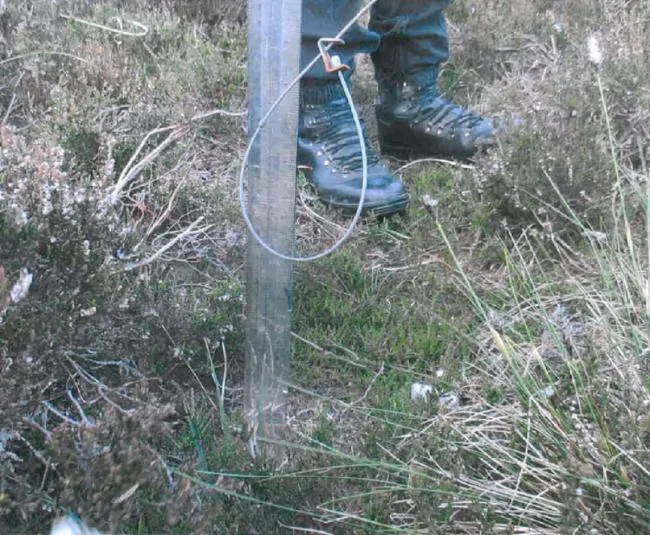 One of the remaining snares found near the stink pit on Denton Moor