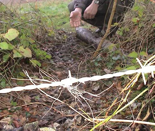 Snare set on a badger run